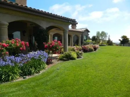 Top-rated yard cleanup service for homes across Nipomo, CA - Moran Landscapes