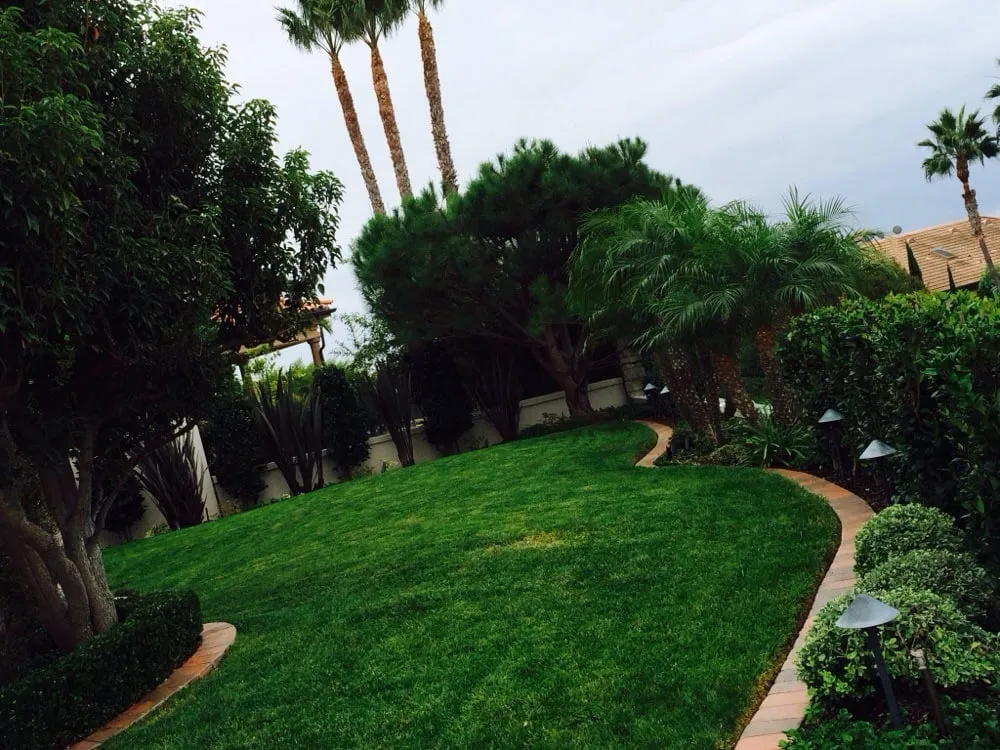 Expert yard maintenance in Santa Ana, CA by Moran Landscaping