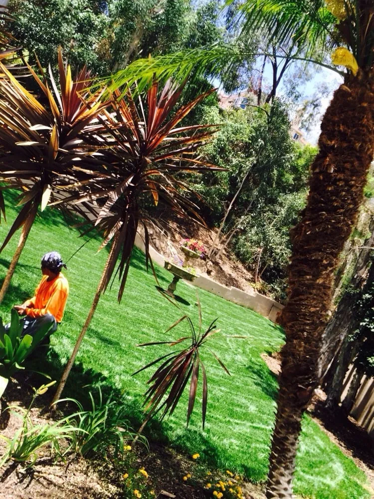 Local lawn mowing service in Santa Ana, CA - Moran Landscaping
