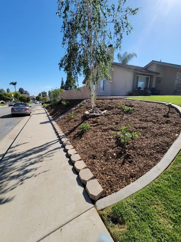 Local lawn care service in Santa Ana, CA by Moran Landscaping