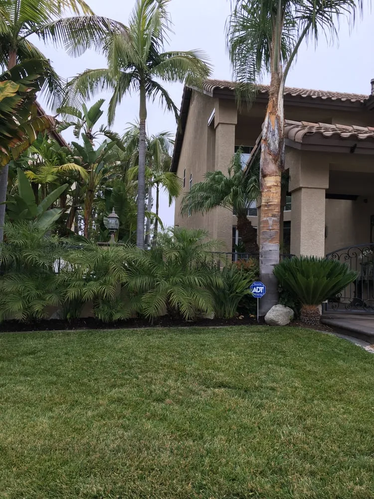 Affordable yard cleanup service for homes in Santa Ana, CA by Moran Landscaping