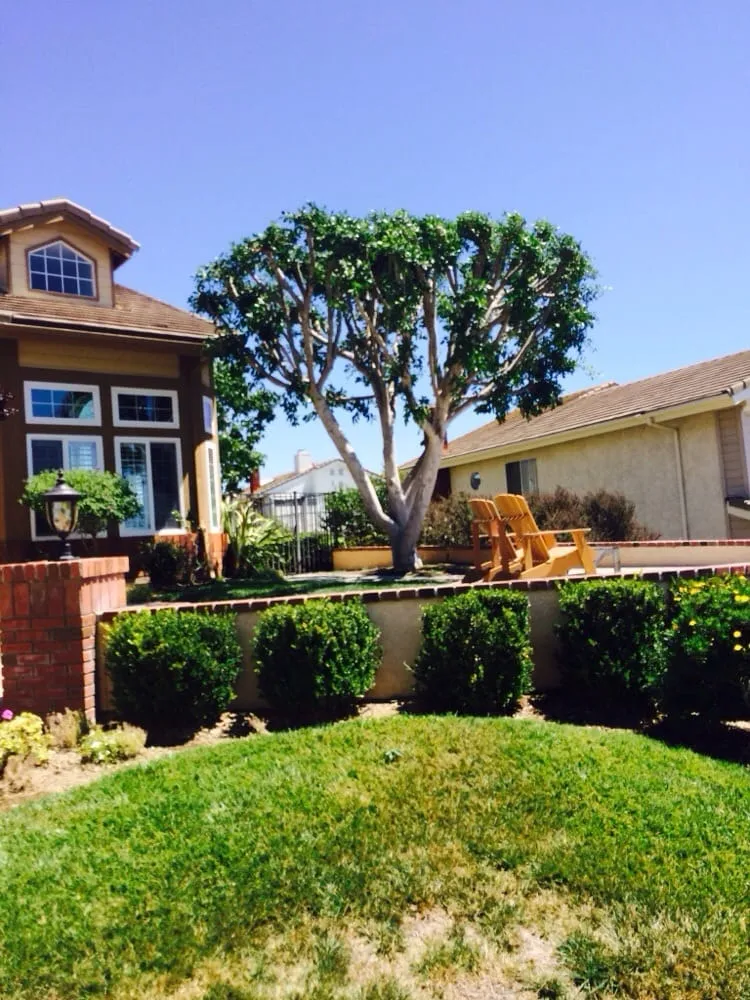 Professional landscape installation experts serving Santa Ana, CA - Moran Landscaping