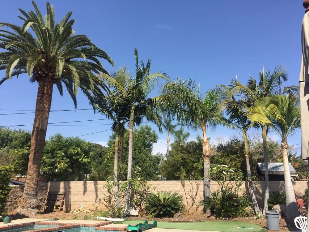 Custom yard cleanup service for beautiful yards across Santa Ana, CA - Moran Landscaping