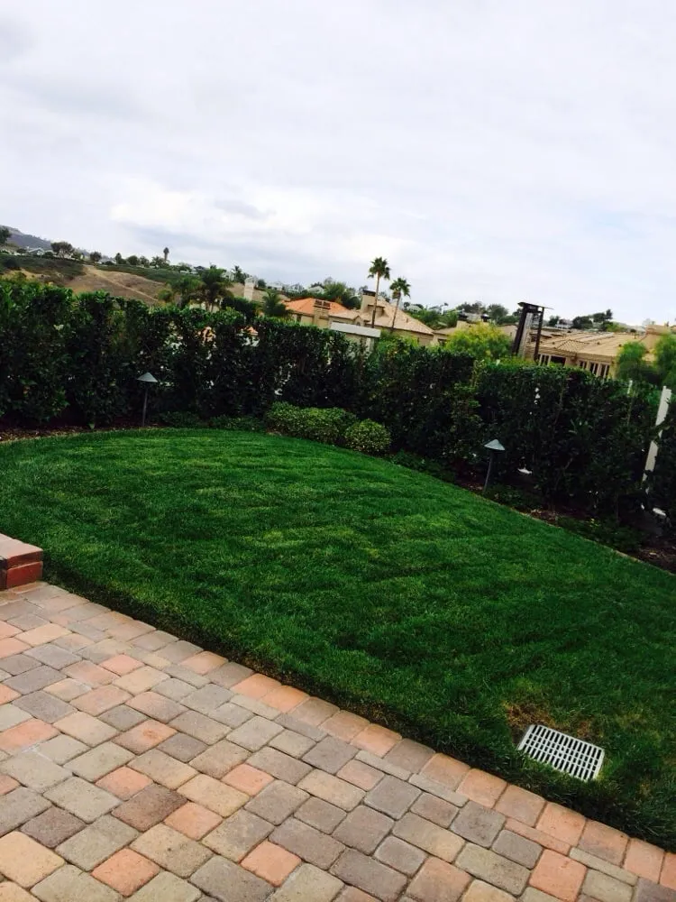 Professional garden landscaping in Santa Ana, CA by Moran Landscaping