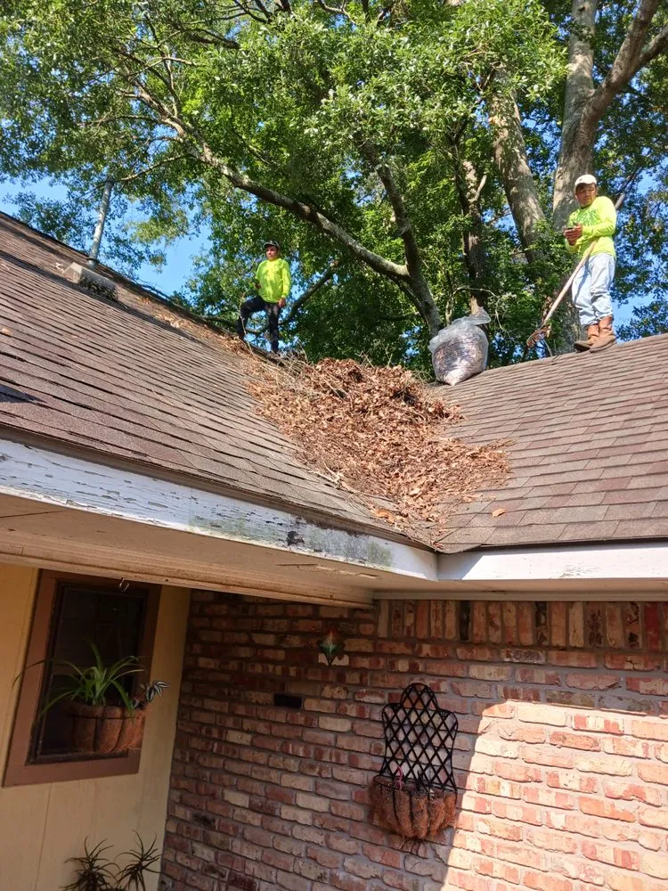 Custom landscape installation experts serving Prairieville, LA - Moran Lawn Care