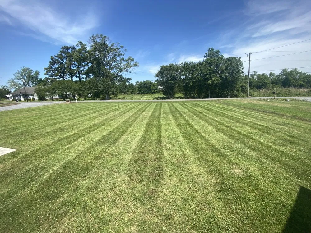 Trusted yard maintenance for residential properties across Prairieville, LA - Moran Lawn Care
