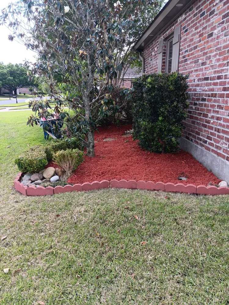 Trusted yard cleanup service in Prairieville, LA by Moran Lawn Care