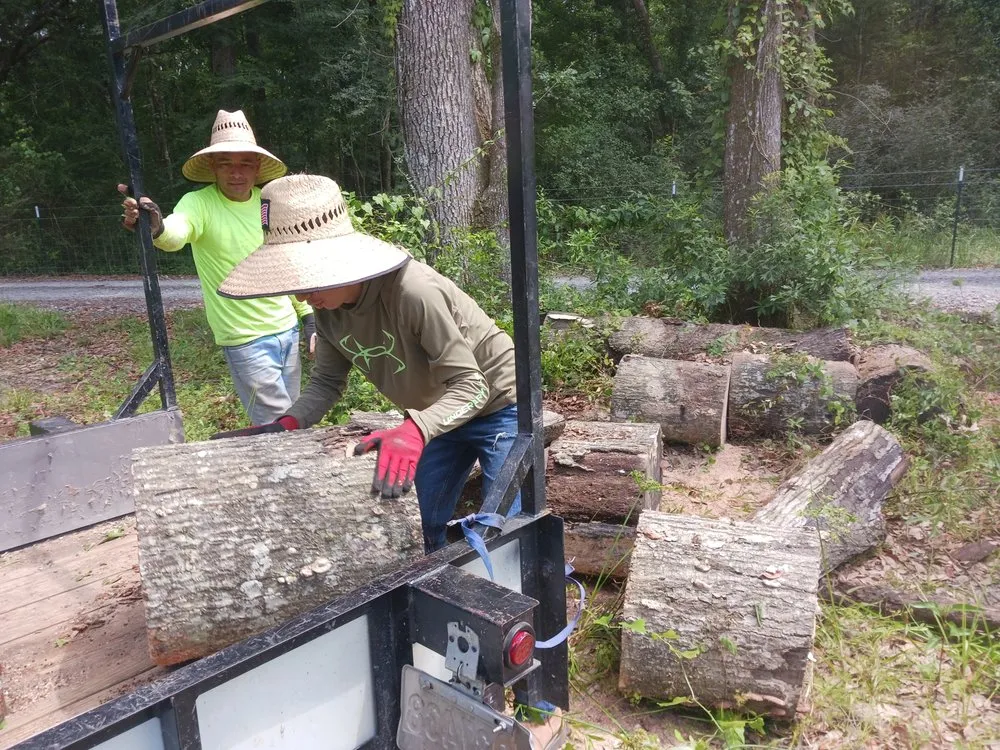 Professional lawn care service for year-round maintenance in Prairieville, LA by Moran Lawn Care