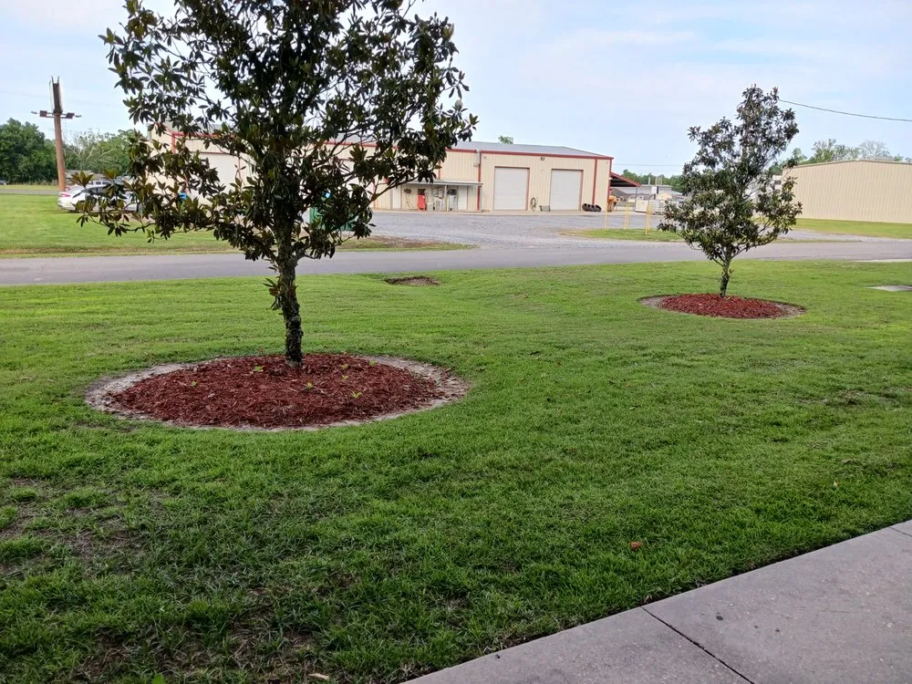 Local residential landscaping in Prairieville, LA - Moran Lawn Care