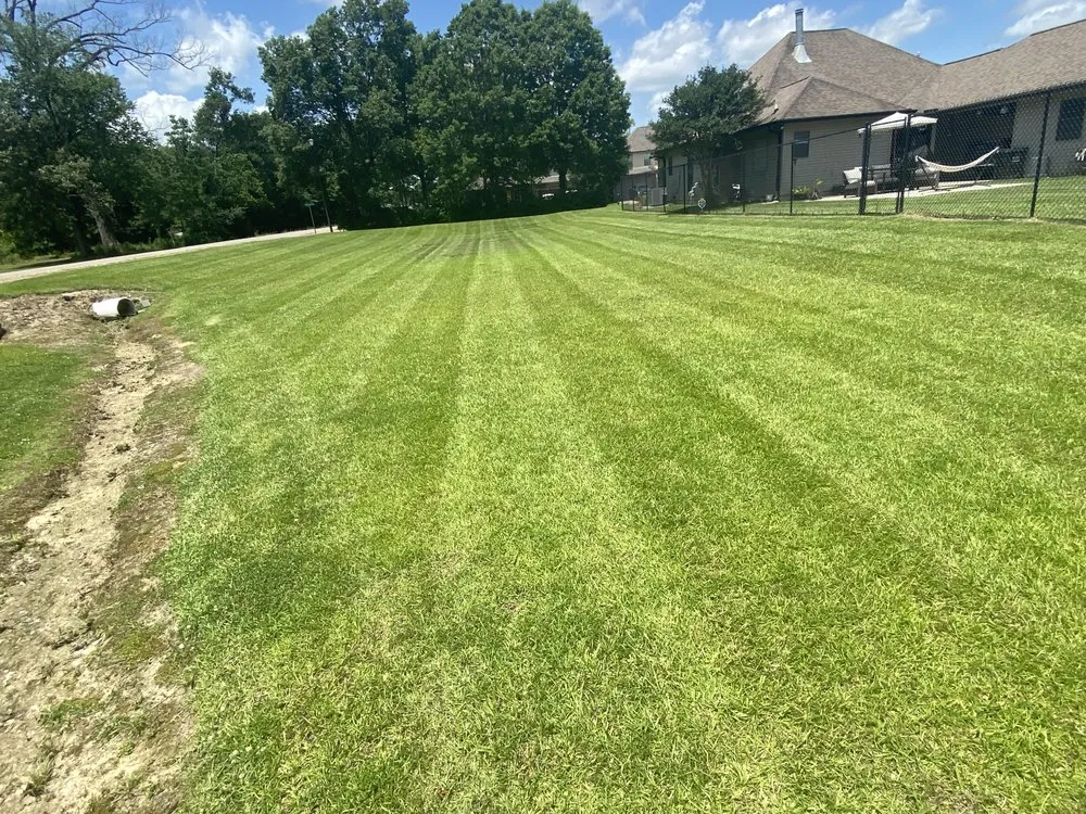 Local landscaping services experts serving Prairieville, LA - Moran Lawn Care