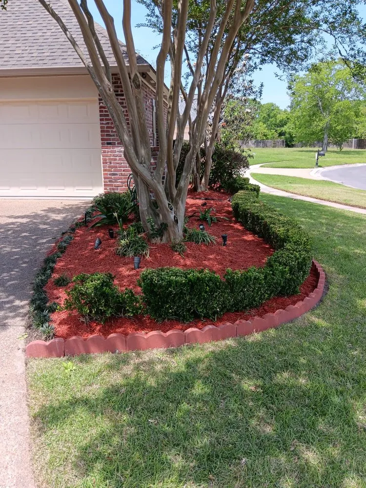 Local yard cleanup service for year-round maintenance across Prairieville, LA - Moran Lawn Care
