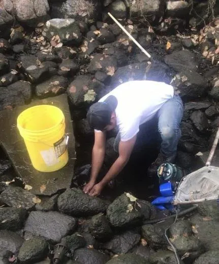 Local garden landscaping experts serving Sioux Falls, SD - Moran's Pond Cleaning