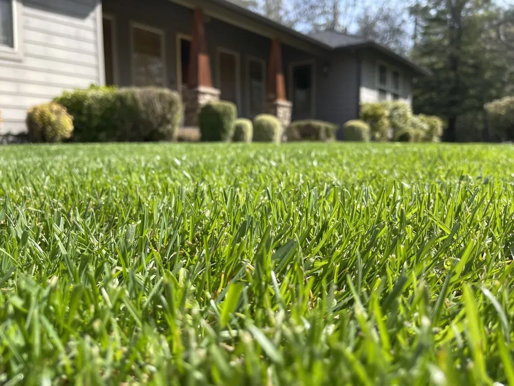 Affordable landscape installation for beautiful yards in Grants Pass, OR by Mora’s landscape maintenance