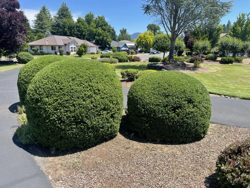 Local yard maintenance for residential properties in Grants Pass, OR by Mora’s landscape maintenance