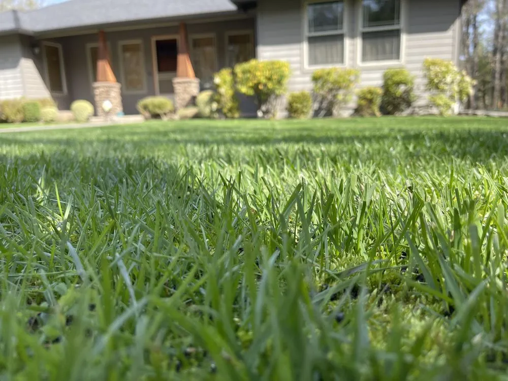 Professional landscape installation for residential properties across Grants Pass, OR - Mora’s landscape maintenance