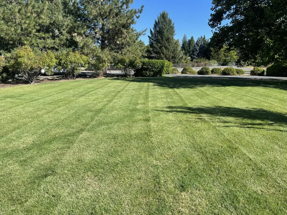 Affordable lawn mowing service with custom design across Grants Pass, OR - Mora’s landscape maintenance