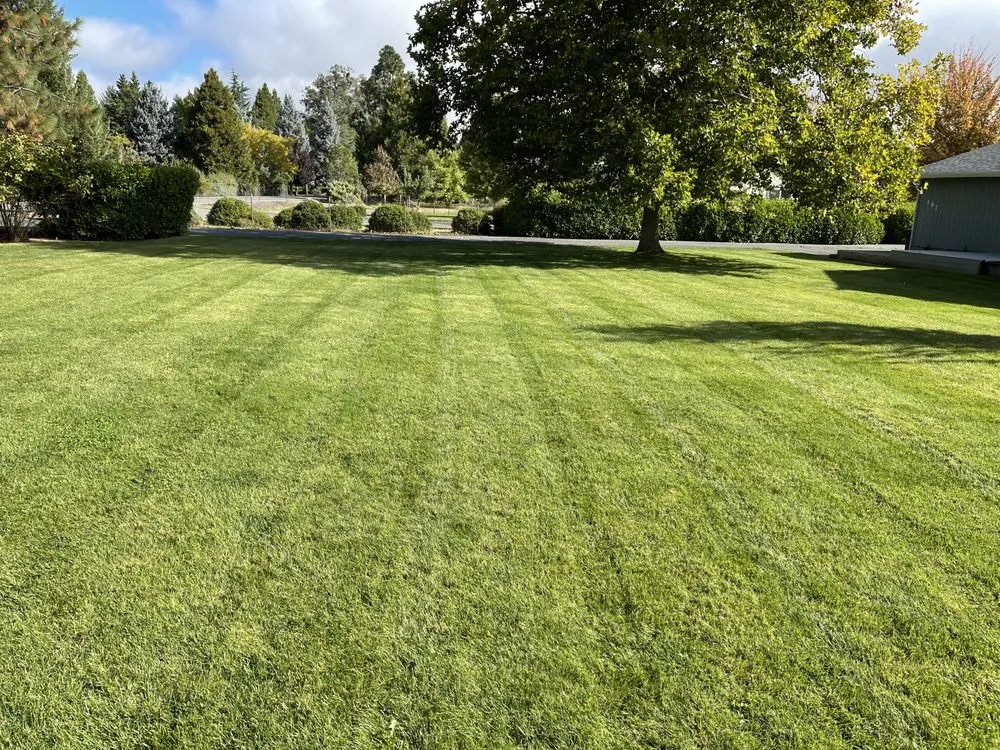 Expert garden landscaping for year-round maintenance across Grants Pass, OR - Mora’s landscape maintenance