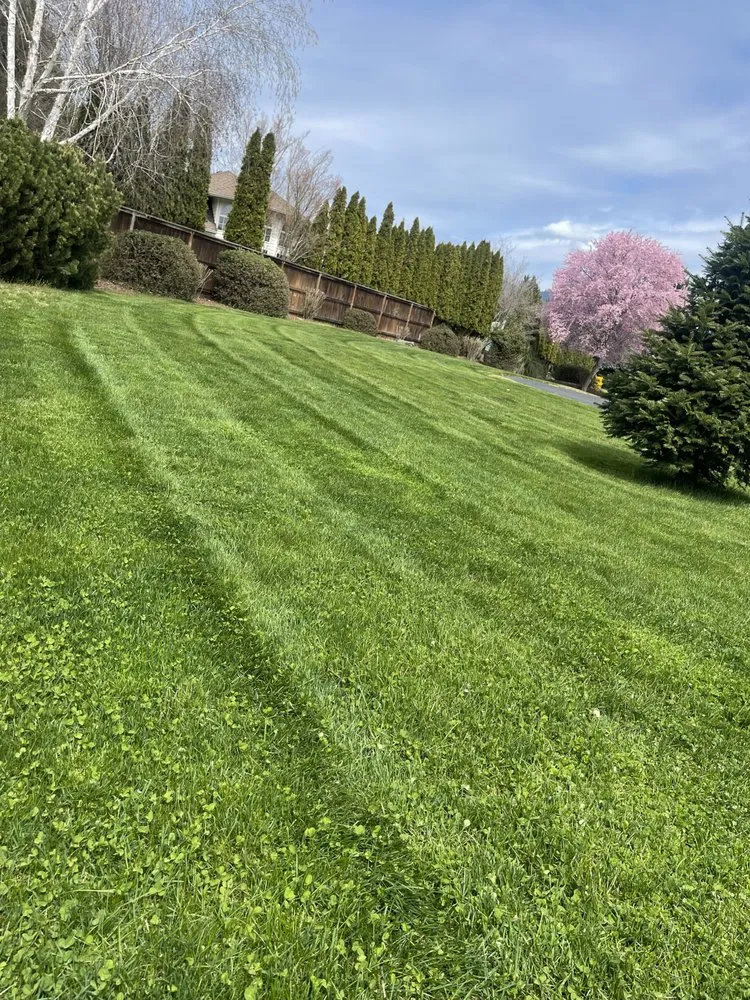 Top-rated outdoor landscaping near you in Grants Pass, OR by Mora’s landscape maintenance