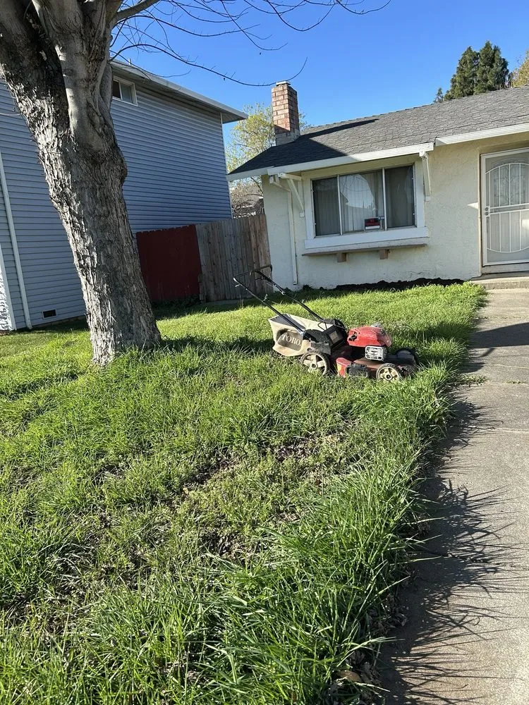 Trusted yard cleanup service in Fairfield, CA - Moras Landscaping Handyman