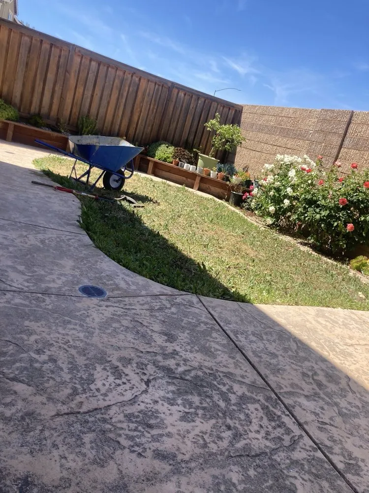 Affordable yard cleanup service in Fairfield, CA by Moras Landscaping Handyman