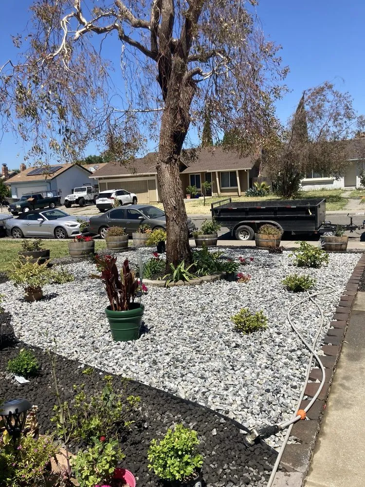 Local outdoor landscaping for year-round maintenance across Fairfield, CA - Moras Landscaping Handyman