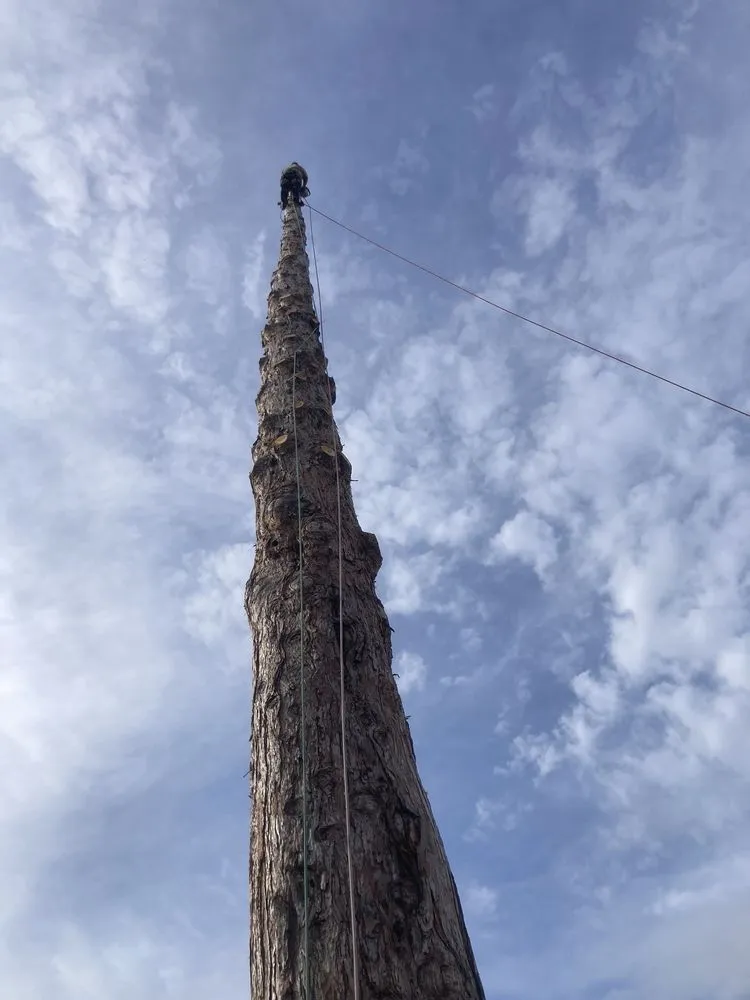 Professional garden landscaping for homes across Fairfield, CA - Moras Landscaping Handyman