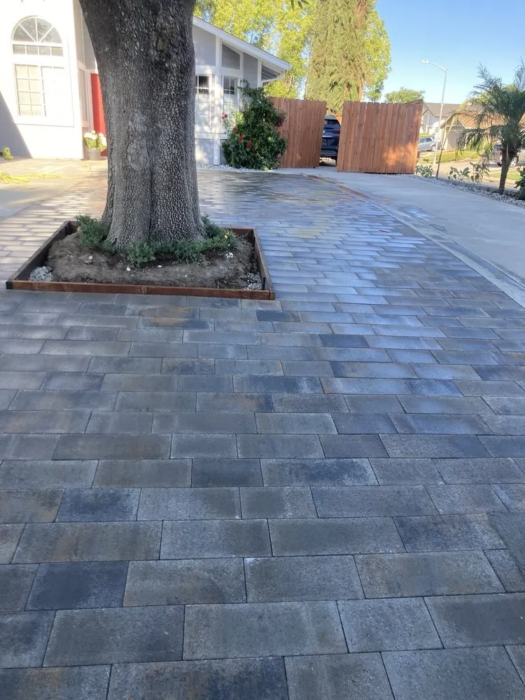 Professional lawn mowing service for year-round maintenance in Fairfield, CA by Moras Landscaping Handyman