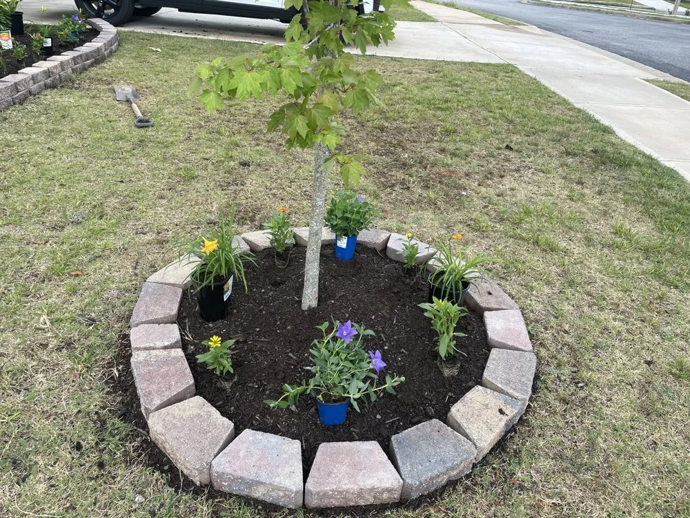 Trusted lawn mowing service in Riverdale, GA by Moras Lawn Care & Handyman Services