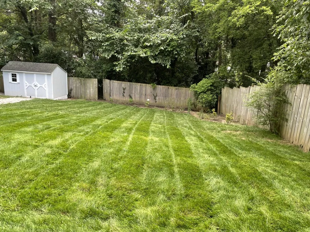 Custom landscape design for year-round maintenance across Riverdale, GA - Moras Lawn Care & Handyman Services