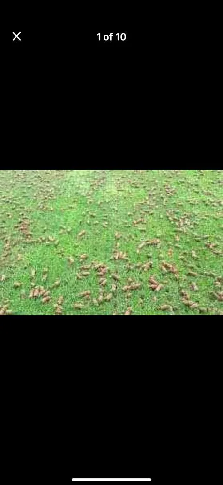 Top-rated landscape installation in Riverdale, GA by Moras Lawn Care & Handyman Services