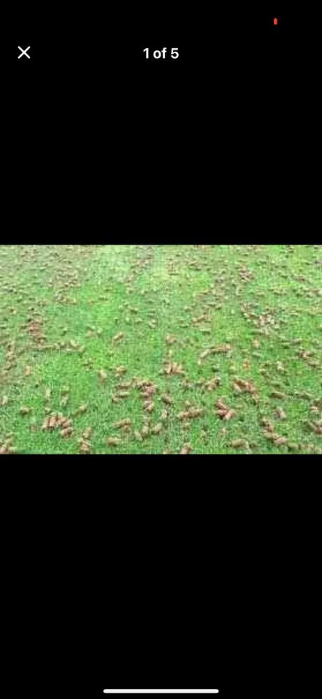 Top-rated landscape installation in Riverdale, GA - Moras Lawn Care & Handyman Services