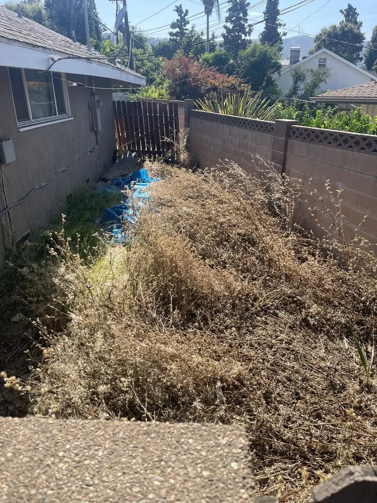 Expert garden landscaping for outdoor upgrades in La Puente, CA by Mora's  Sprinklers & Gardening Services