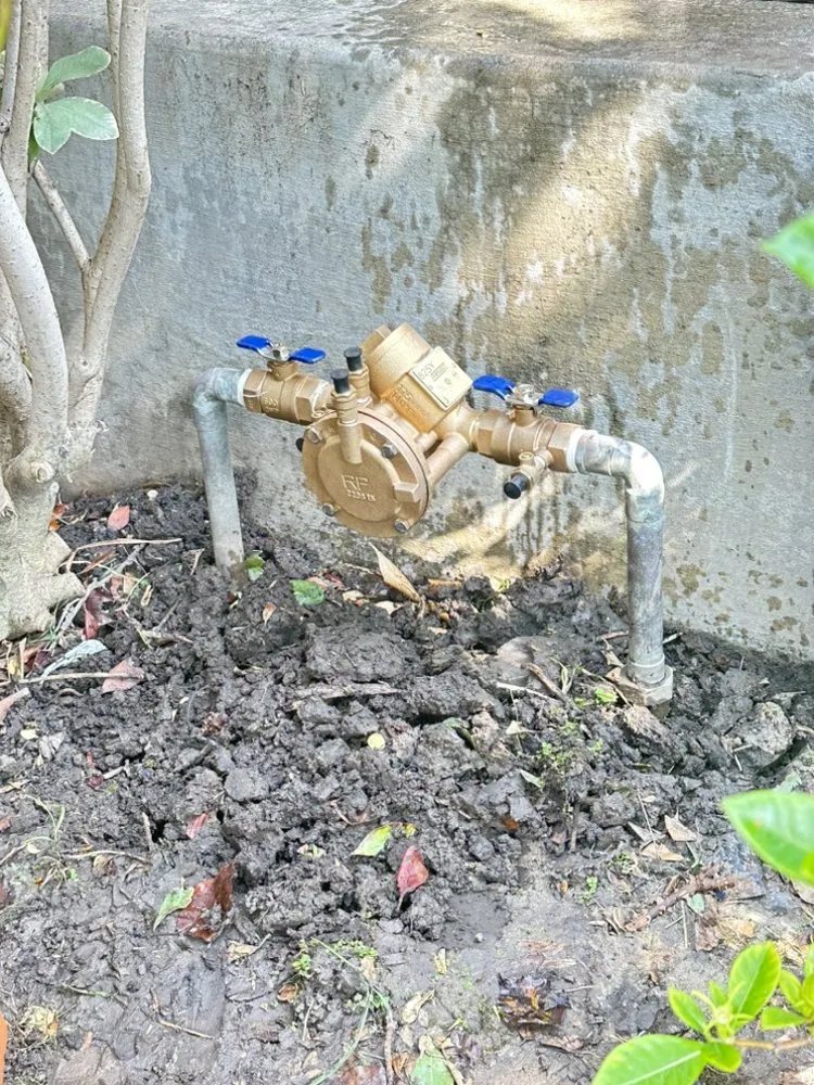 Top-rated yard cleanup service experts serving La Puente, CA - Mora's  Sprinklers & Gardening Services