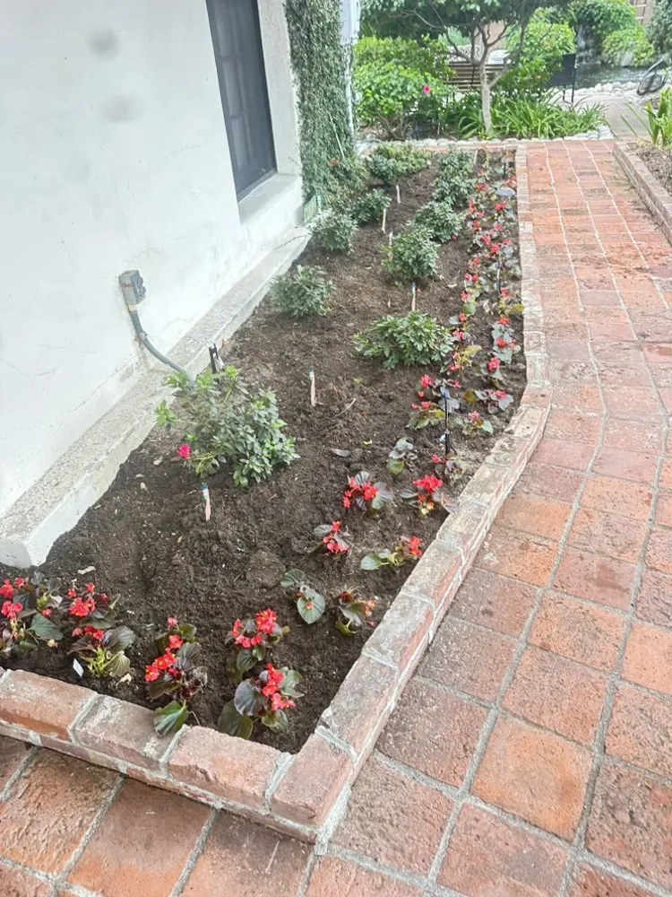 Affordable landscaping services in La Puente, CA - Mora's  Sprinklers & Gardening Services
