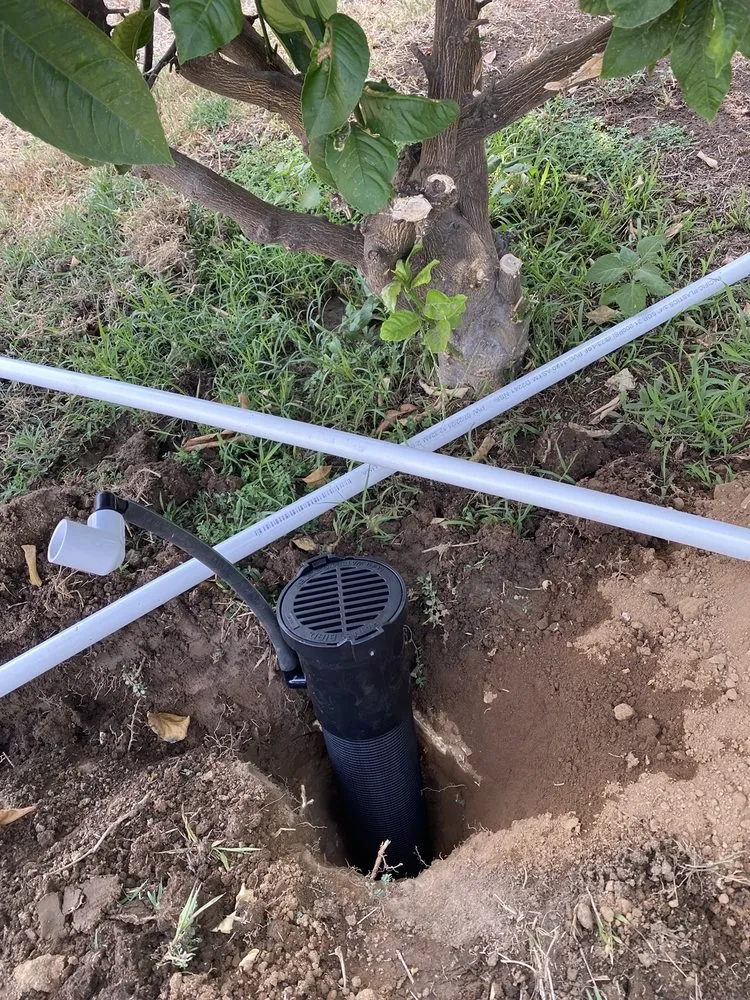 Top-rated landscaping services in La Puente, CA by Mora's  Sprinklers & Gardening Services