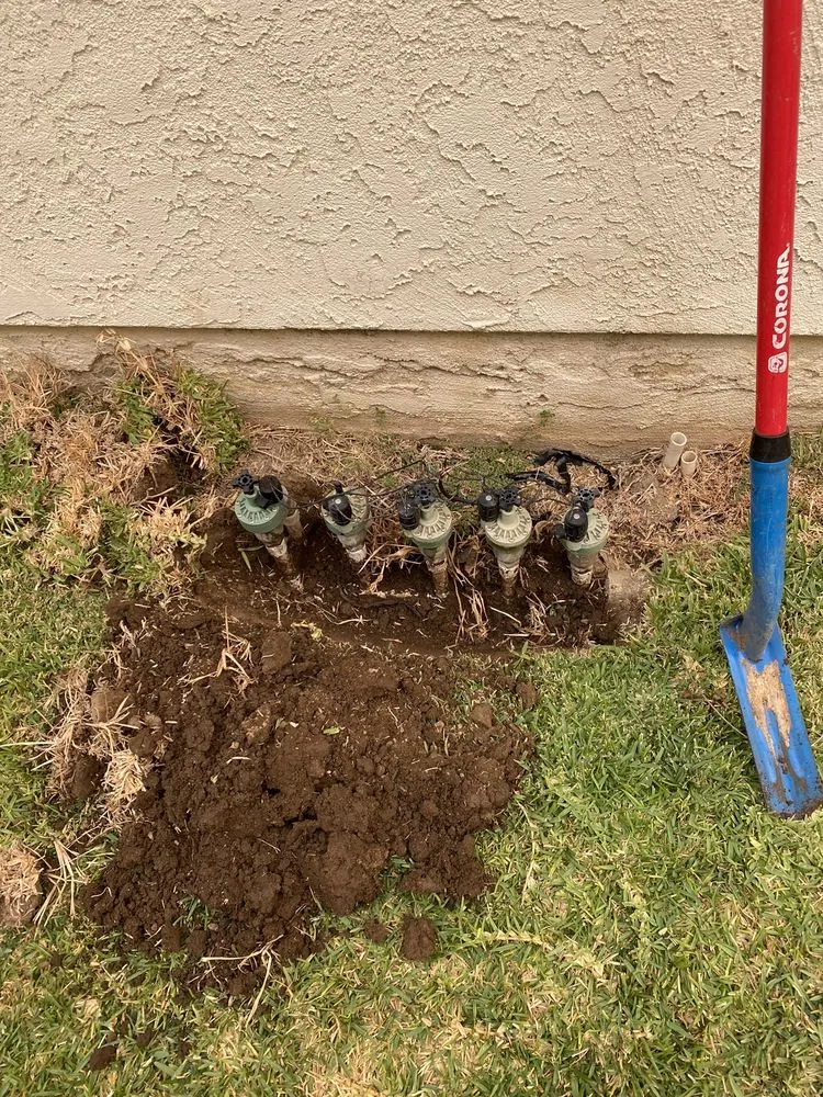 Local yard maintenance for homes across La Puente, CA - Mora's  Sprinklers & Gardening Services