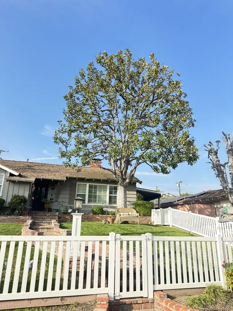 Local garden landscaping experts serving La Puente, CA - Mora's  Sprinklers & Gardening Services