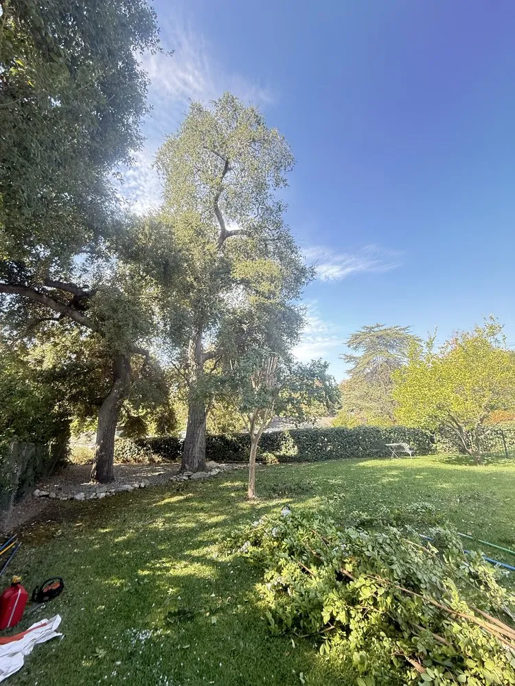 Reliable outdoor landscaping for homes in La Puente, CA by Mora's  Sprinklers & Gardening Services