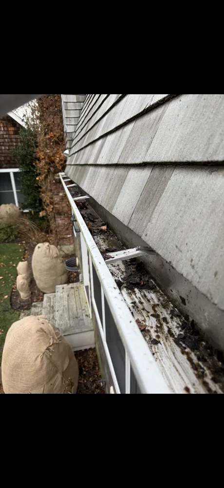 Professional yard maintenance in Bellport, NY - Mordente Property Management