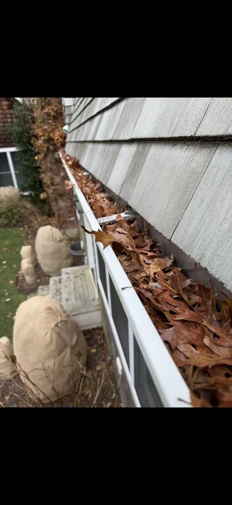 Trusted yard maintenance in Bellport, NY - Mordente Property Management