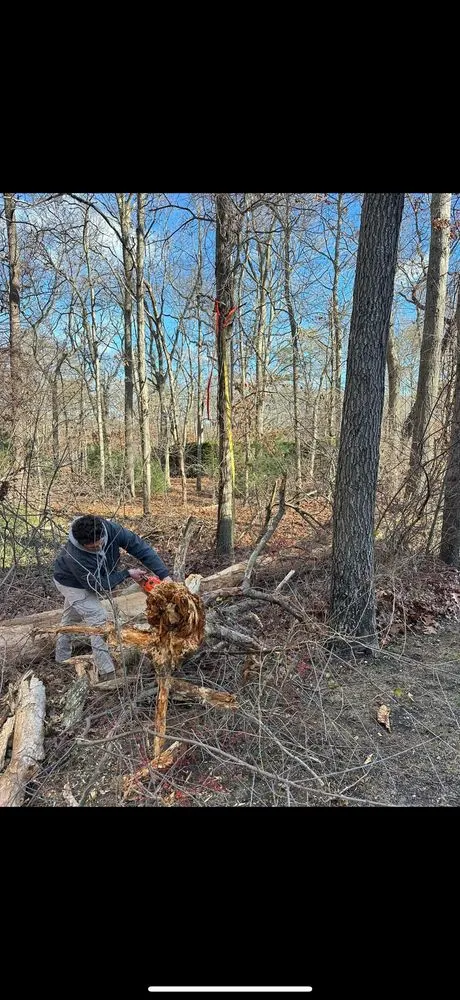 Top-rated landscape installation for beautiful yards across Bellport, NY - Mordente Property Management