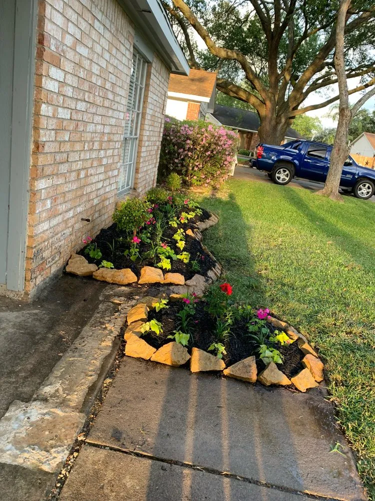 Expert yard cleanup service in Texas City, TX by More & More Services