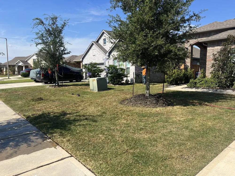 Trusted lawn mowing service in Texas City, TX by More & More Services