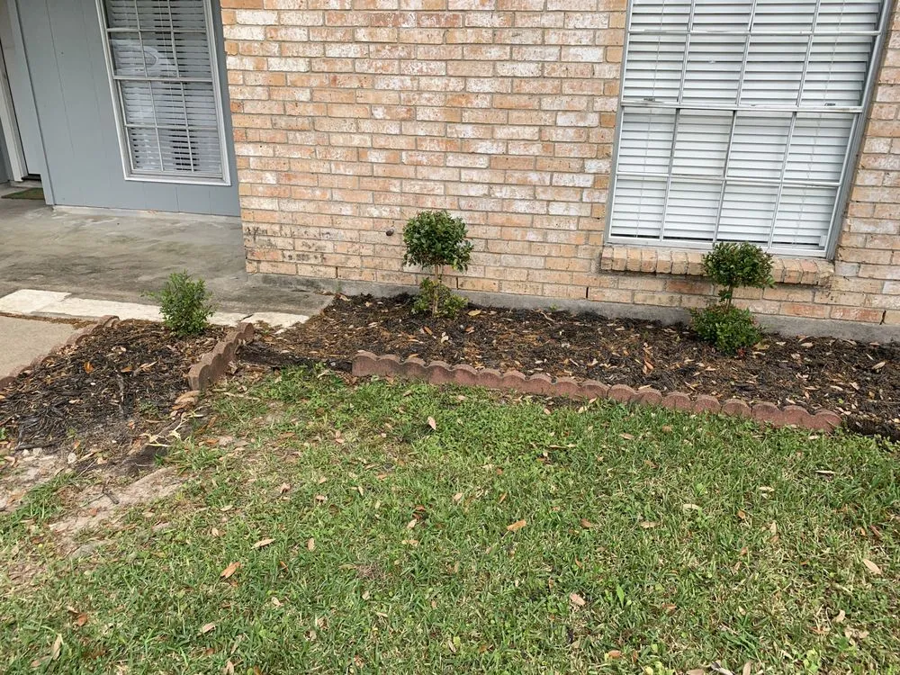 Professional landscape installation in Texas City, TX - More & More Services