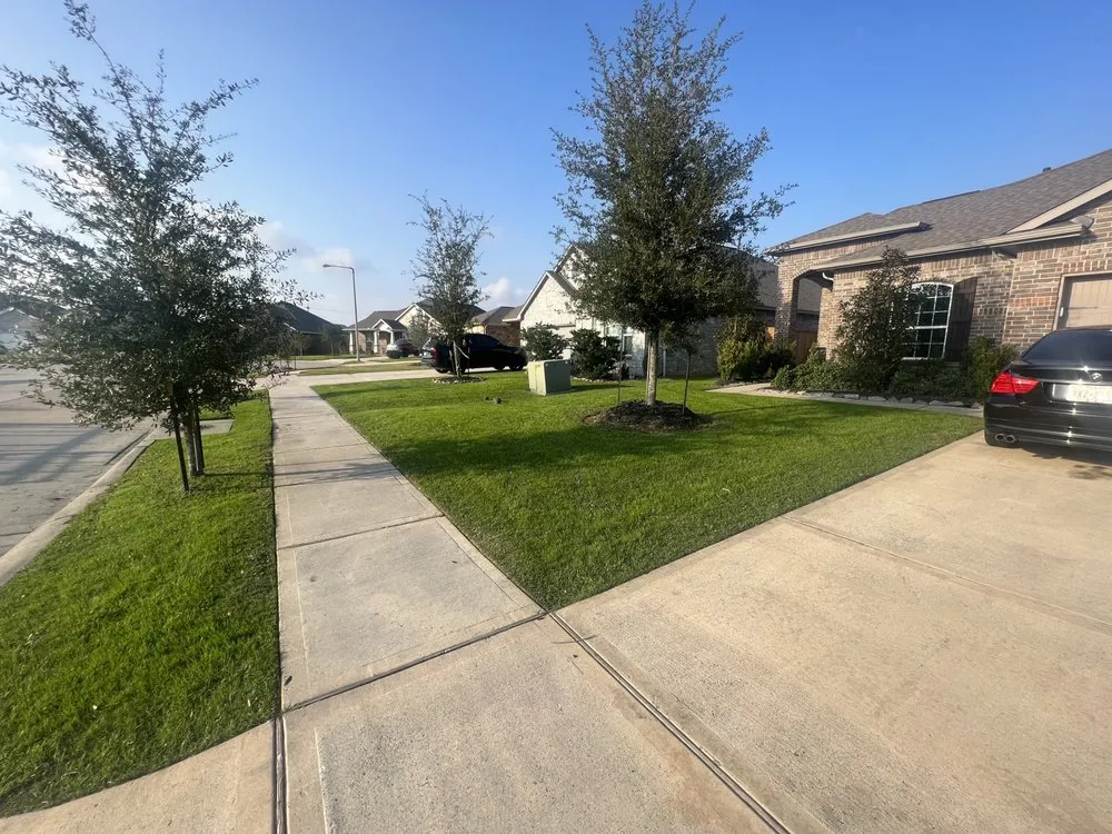 Trusted residential landscaping for year-round maintenance in Texas City, TX by More & More Services