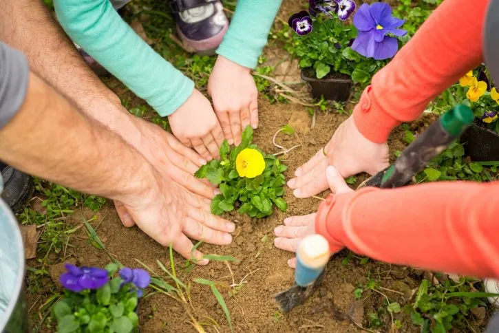 Local landscape installation experts serving Duvall, WA - More 4 Less Landscape