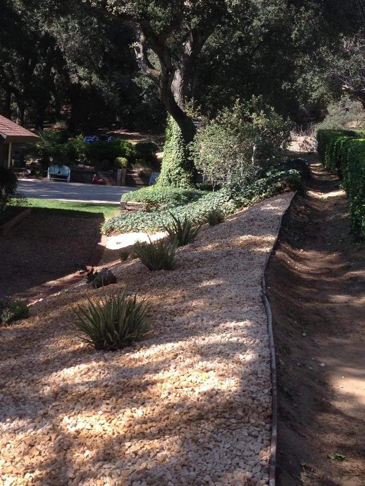 Custom yard cleanup service for beautiful yards across Rialto, CA - More Art Landscape Service