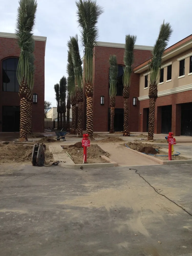 Professional garden landscaping for beautiful yards across Rialto, CA - More Art Landscape Service