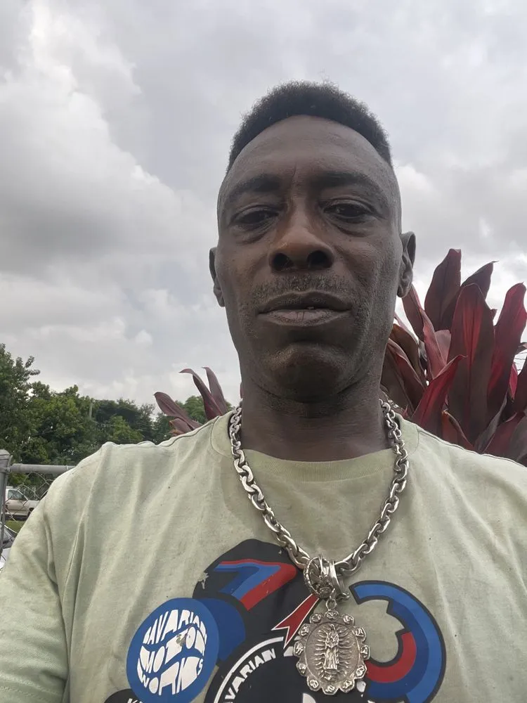 Affordable garden landscaping for year-round maintenance across Goulds, FL - More Enterprises