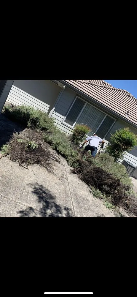 Affordable landscape installation experts serving Central point, OR - More life construction & Landscaping